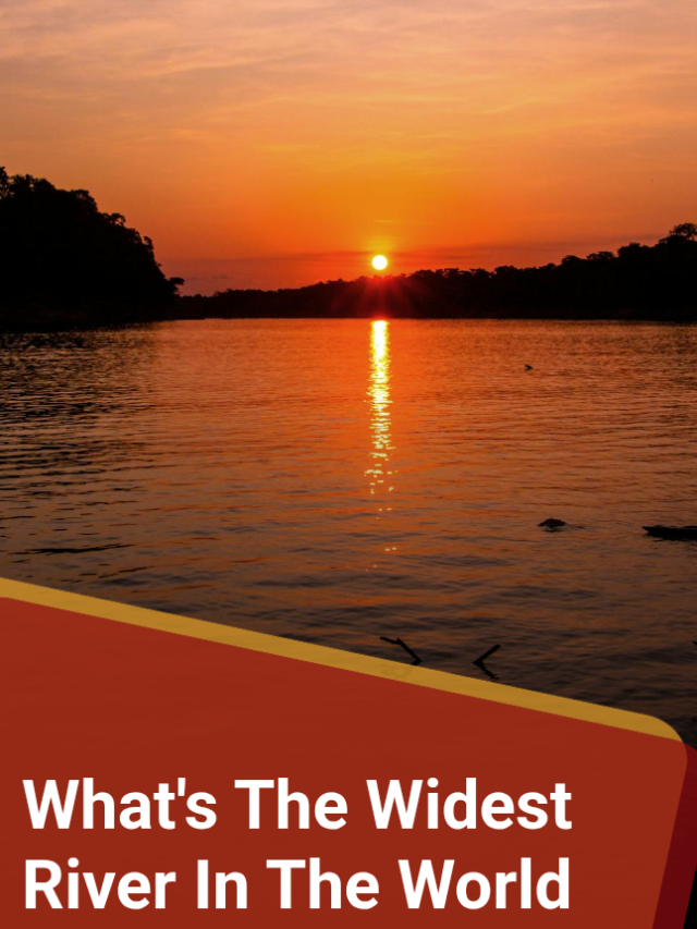 What is the wildest river in the world